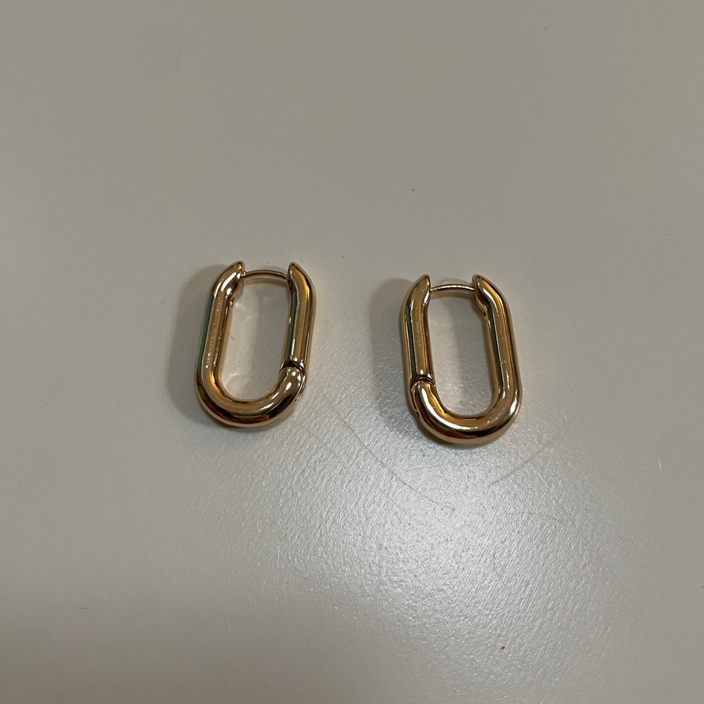 Gold Loop Earrings